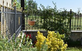 Poe Home Trikala